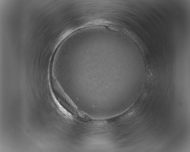 X0000077311055200610201148