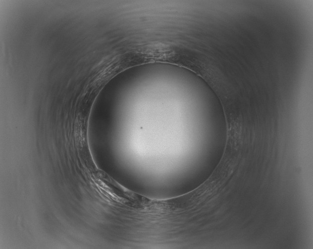 X0000077311058200610201147