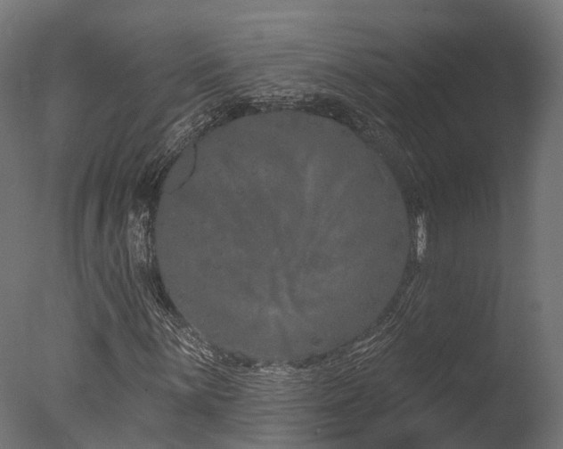 X0000077311059200610201147