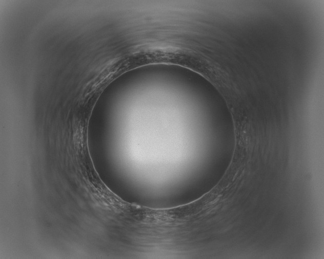 X0000077311061200610201147
