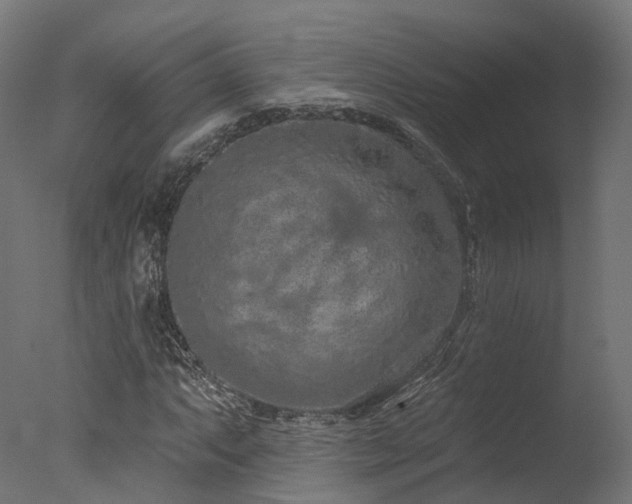 X0000077311063200610201147