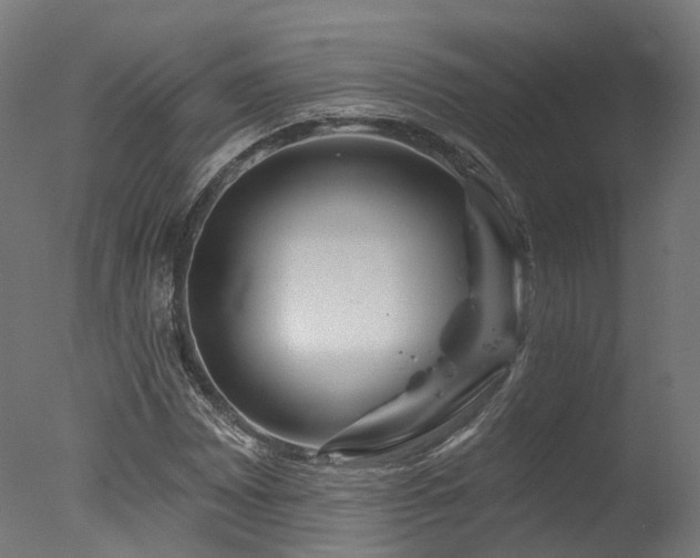 X0000077311065200610201147