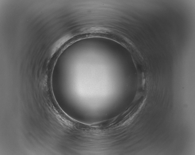 X0000077311066200610201147