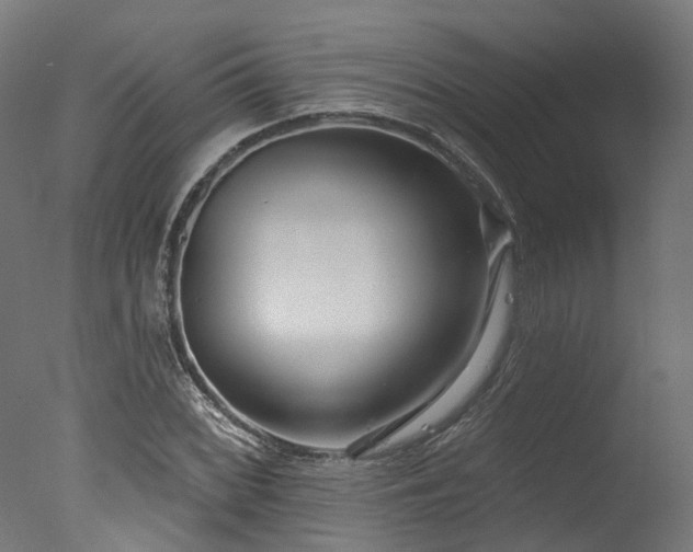 X0000077311068200610201147