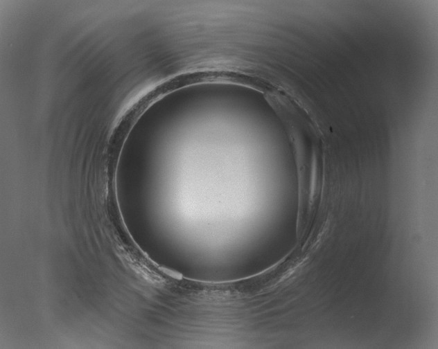 X0000077311069200610201147
