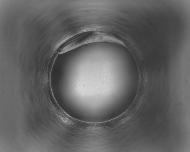 X0000077311073200610201147