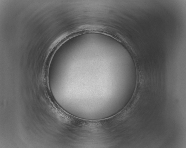X0000077311074200610201147