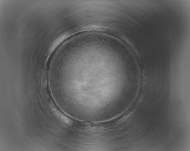 X0000077311075200610201147