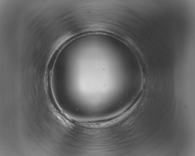 X0000077311076200610201147