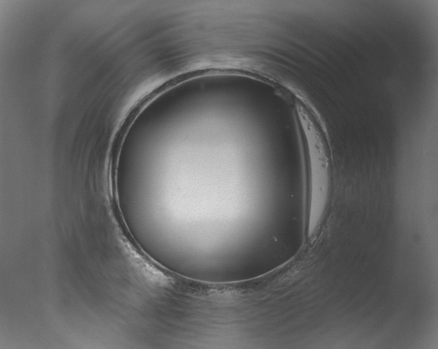 X0000077311080200610201147