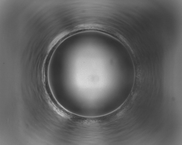 X0000077311082200610201147