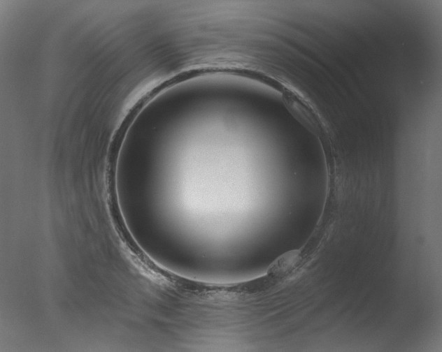 X0000077311085200610201147