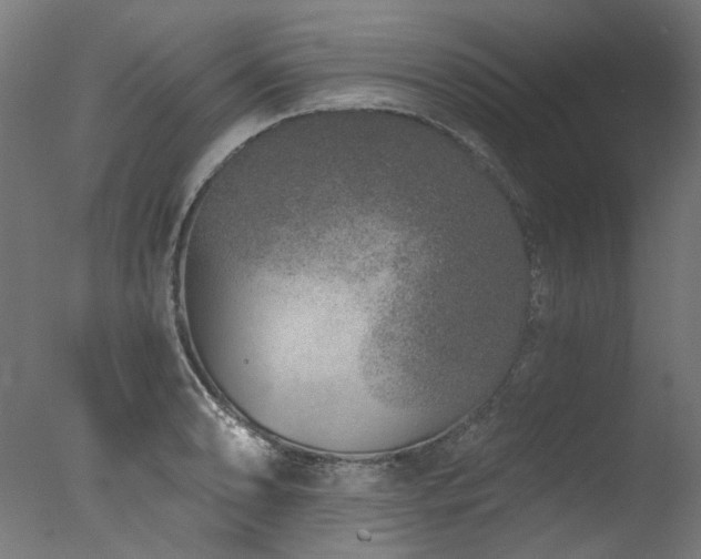 X0000077311086200610201147