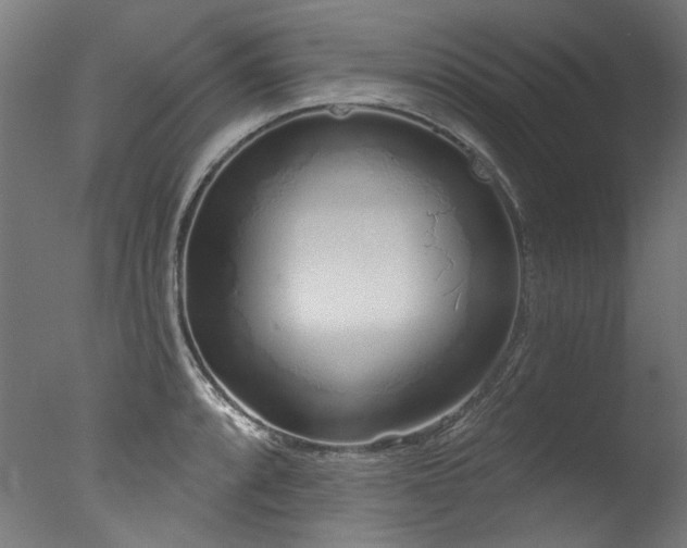 X0000077311088200610201147