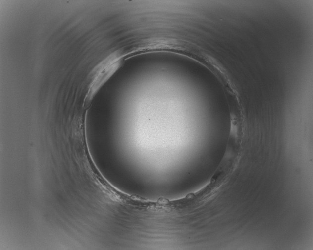 X0000077311089200610201147