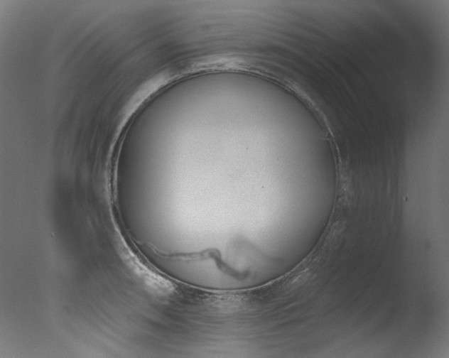 X0000077311090200610201147