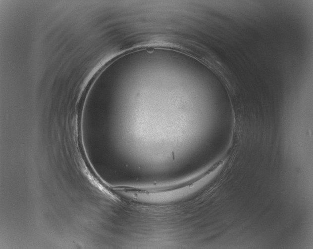 X0000077311092200610201147