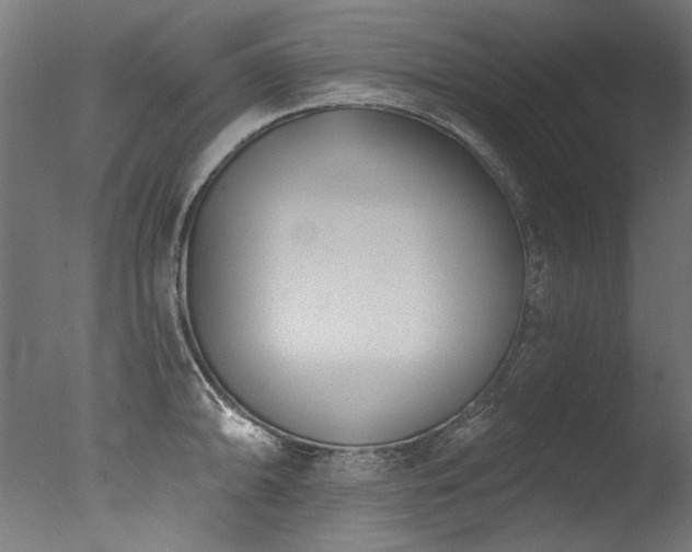 X0000077311094200610201147