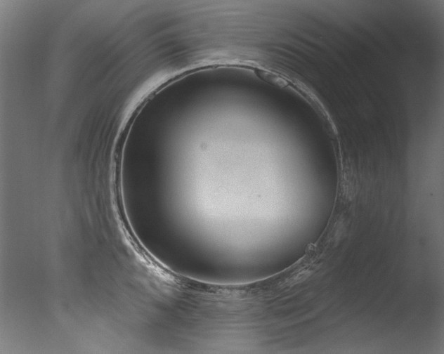 X0000077311096200610201147