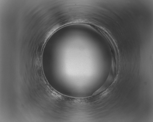 X0000077311097200610201147
