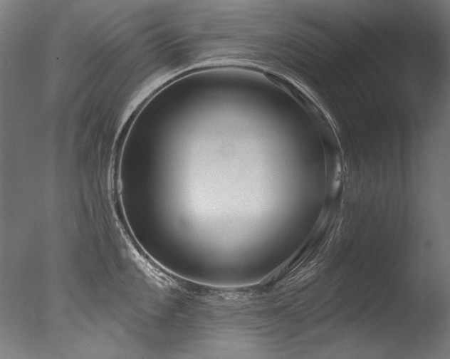 X0000077311101200610201147