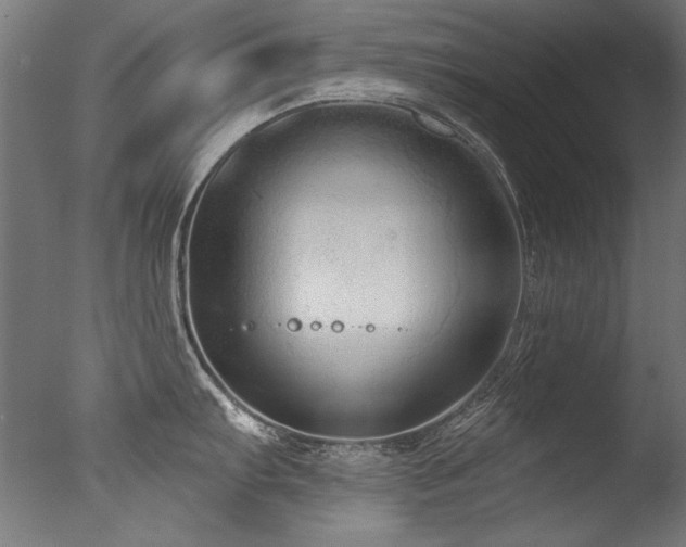 X0000077311103200610201147