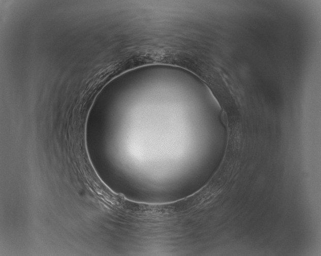 X0000077311105200610201146