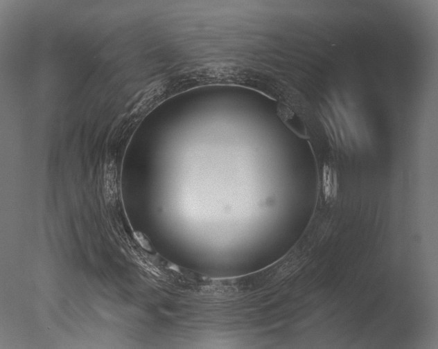 X0000077311107200610201146