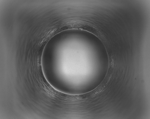 X0000077311108200610201146
