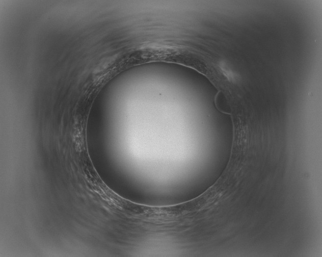 X0000077311109200610201146