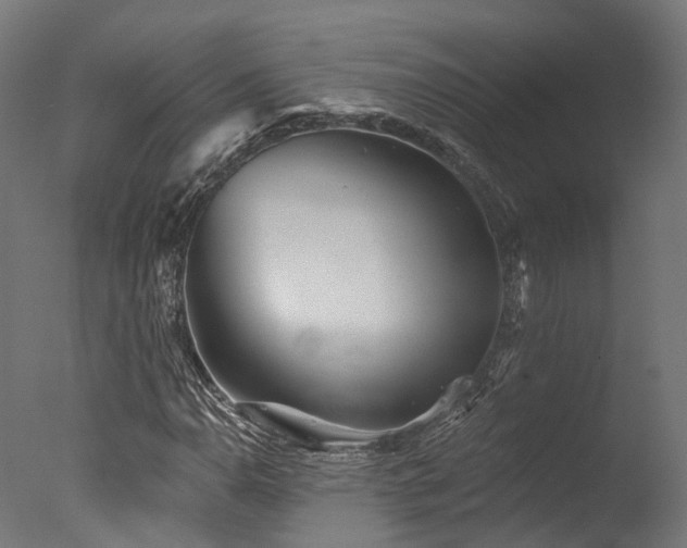 X0000077311110200610201146