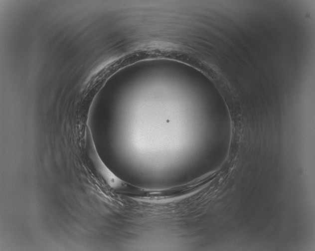 X0000077311112200610201146