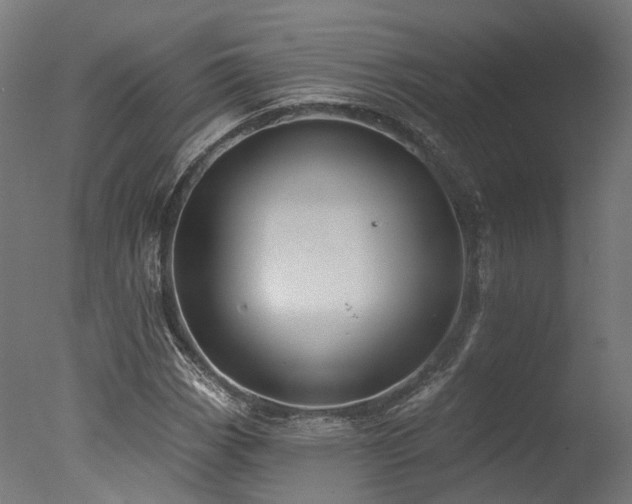 X0000077311113200610201146