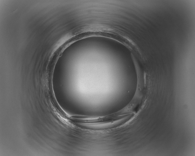 X0000077311114200610201146