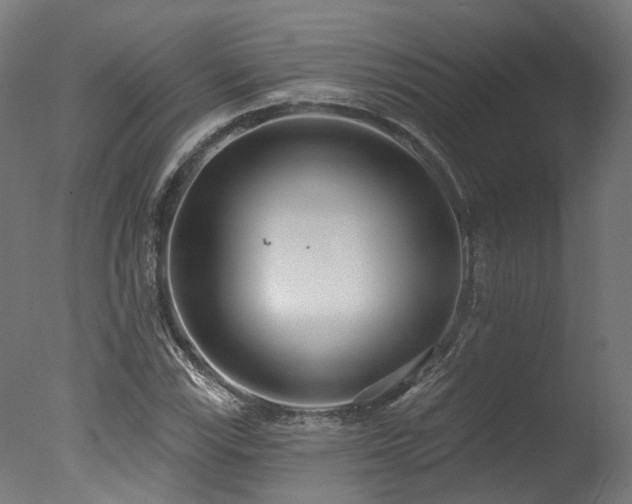 X0000077311115200610201146
