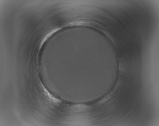 X0000077311117200610201146