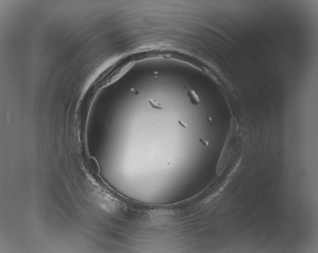 X0000077311118200610201146