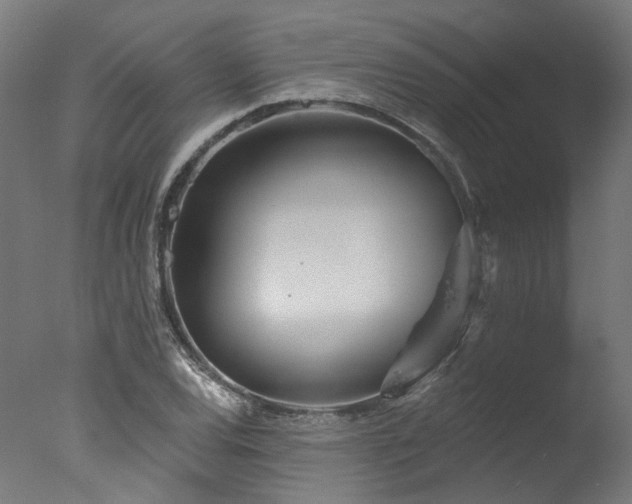 X0000077311120200610201146