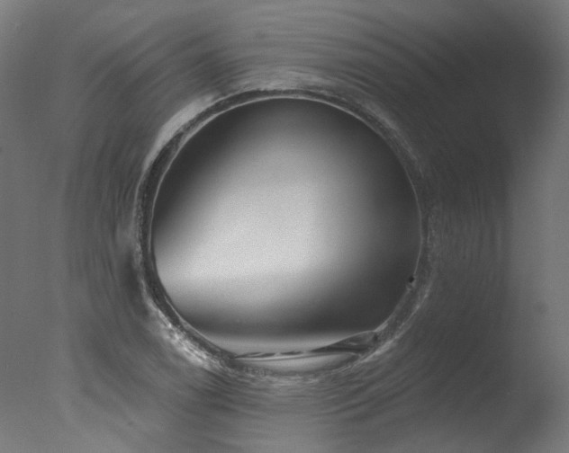 X0000077311122200610201146