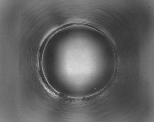 X0000077311128200610201146
