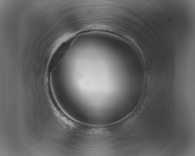 X0000077311133200610201146