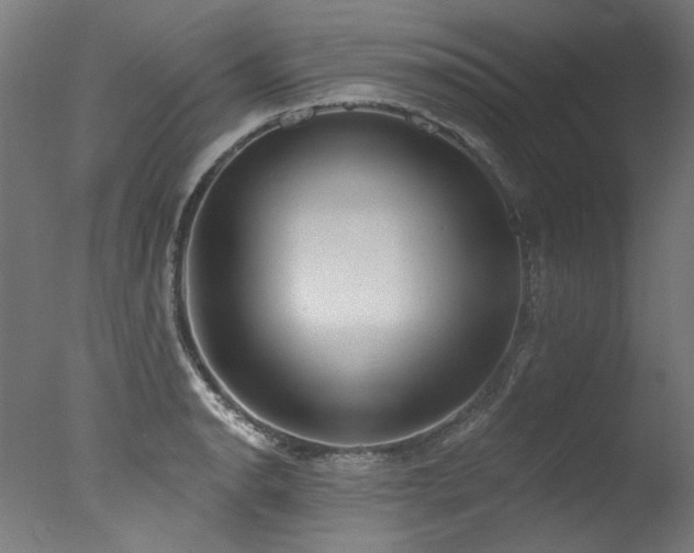 X0000077311134200610201146