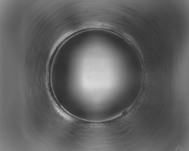 X0000077311136200610201146