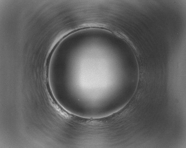 X0000077311140200610201146