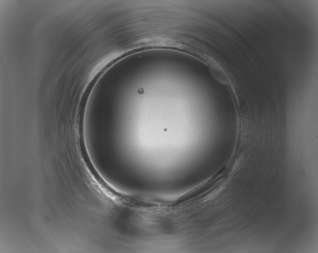 X0000077311141200610201146