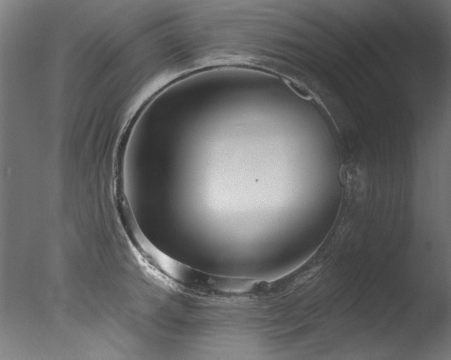 X0000077311143200610201146