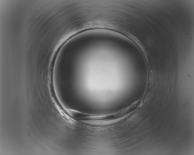 X0000077311144200610201146