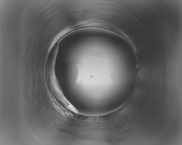 X0000077311146200610201146