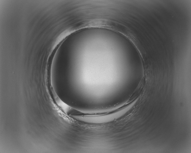 X0000077311147200610201146