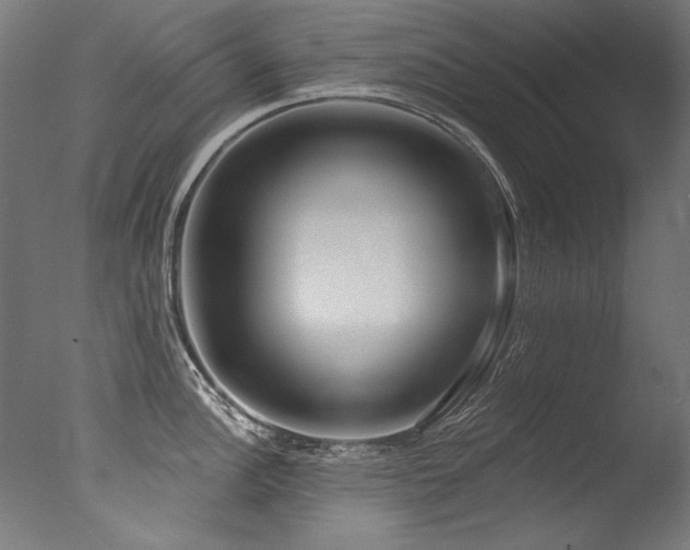 X0000077311148200610201146